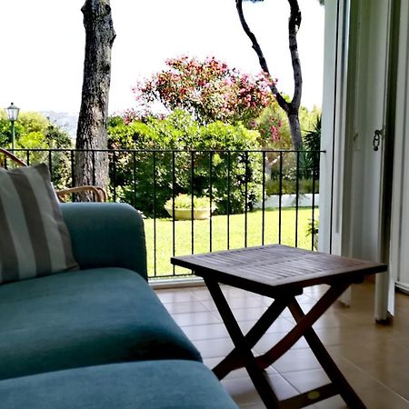 Espectacular Apartamento En El Corazon De Calella! 卡莱利亚德帕拉弗鲁赫尔 外观 照片